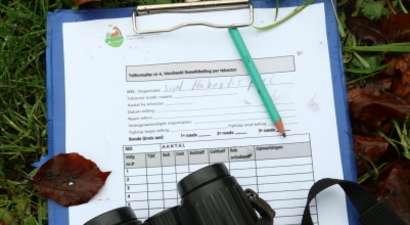 Afbeelding ReewildTelling Dag 2 Vrijdag  18:00 en 21:00uur