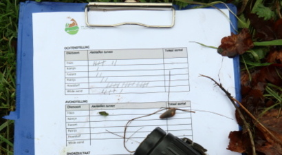 Afbeelding Wildtelling tussen 6 en 12 uur 